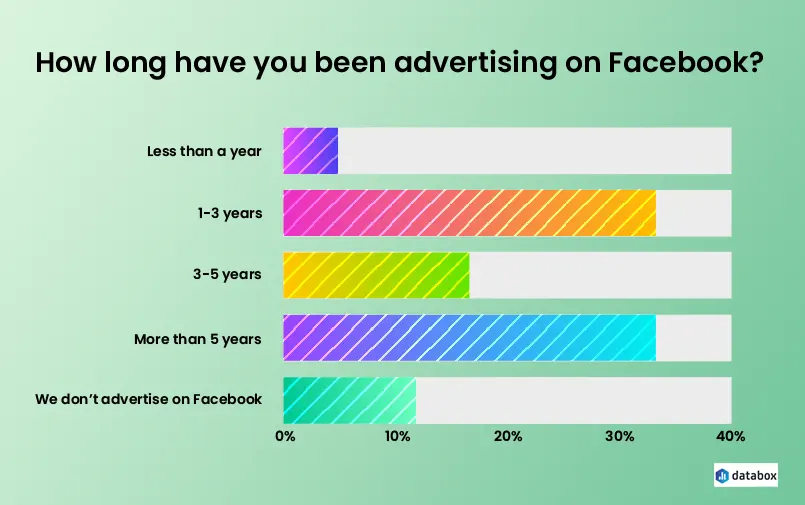 Facebook Advertising